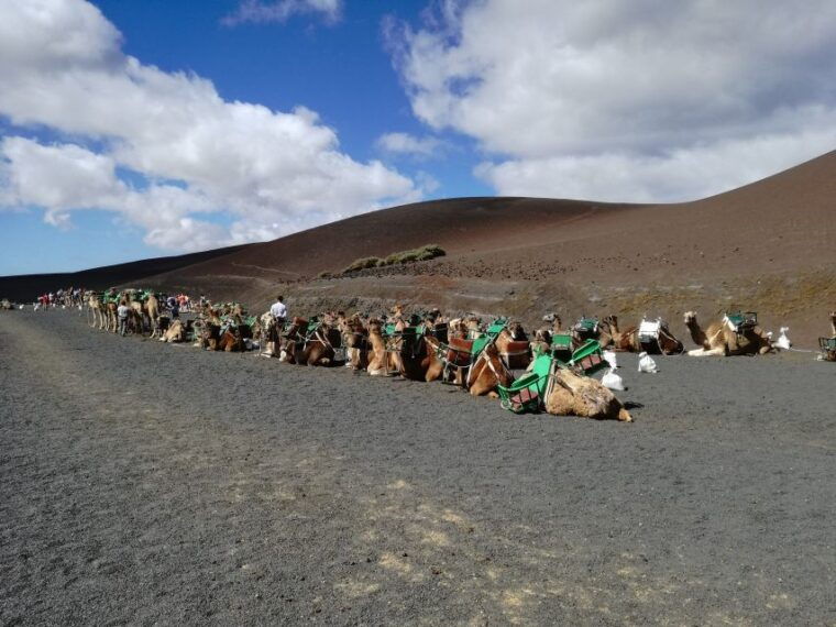 lanzarote-5-hour-timanfaya-national-park-southern-tour