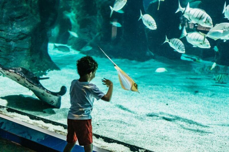 lanzarote-aquarium-entry-ticket