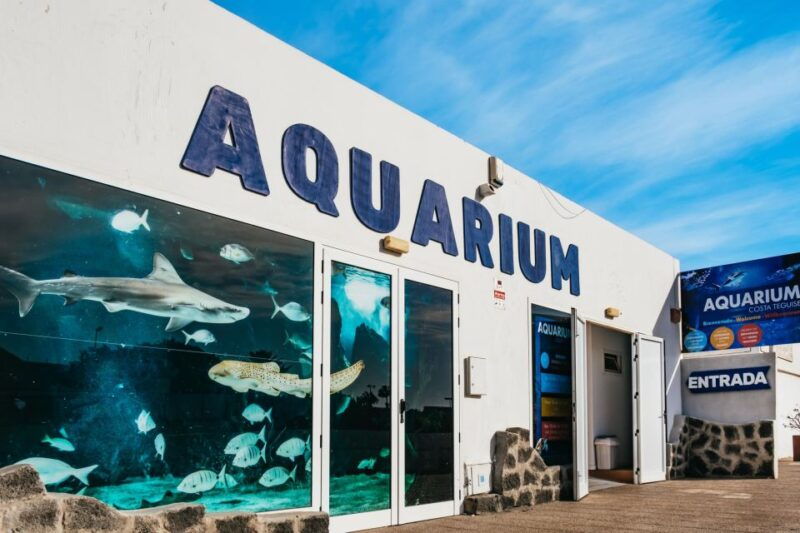 lanzarote-aquarium-entry-ticket
