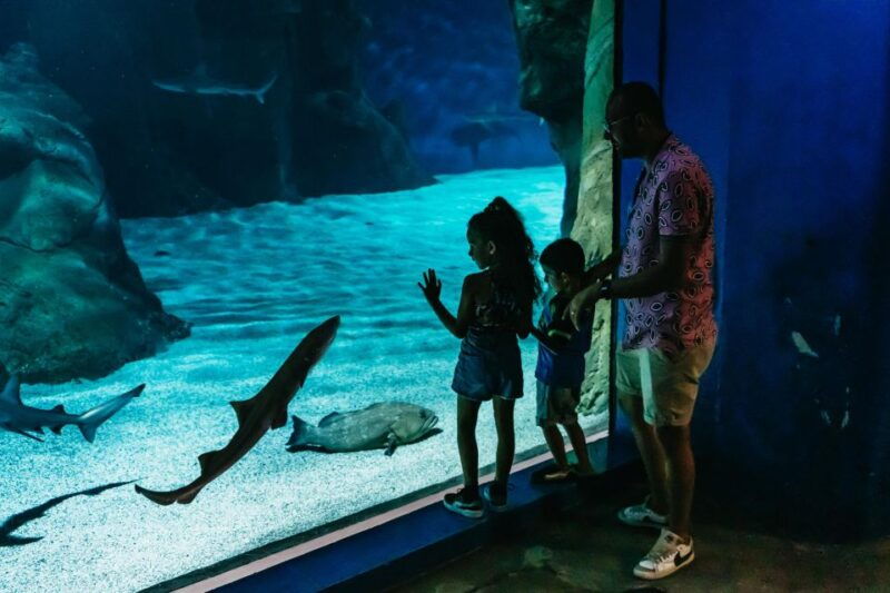 lanzarote-aquarium-entry-ticket