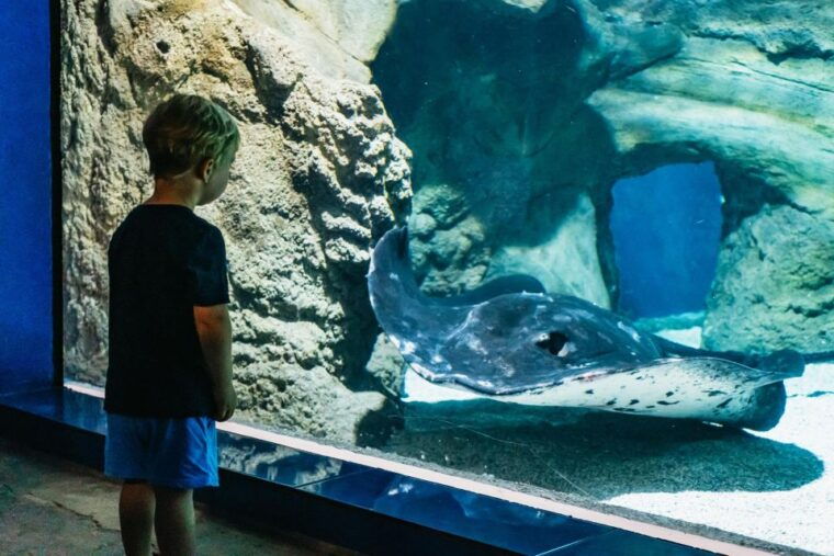 lanzarote-aquarium-entry-ticket