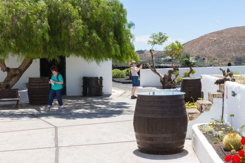 lanzarote-audio-guided-tour-of-the-el-grifo-wine-museum