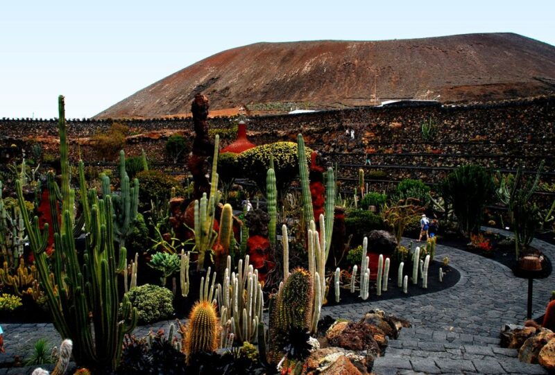 lanzarote-coast-2-coast-tour