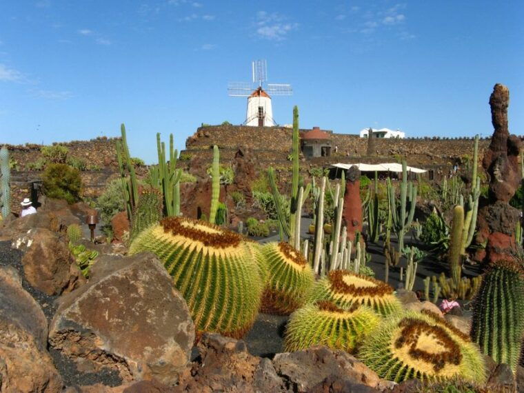 lanzarote-coast-2-coast-tour