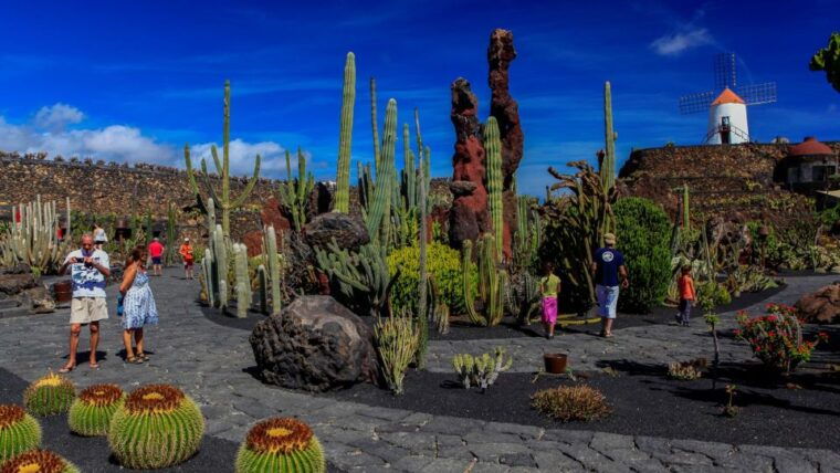 lanzarote-coast-2-coast-tour