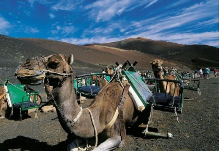 lanzarote-day-tour-for-cruise-passengers
