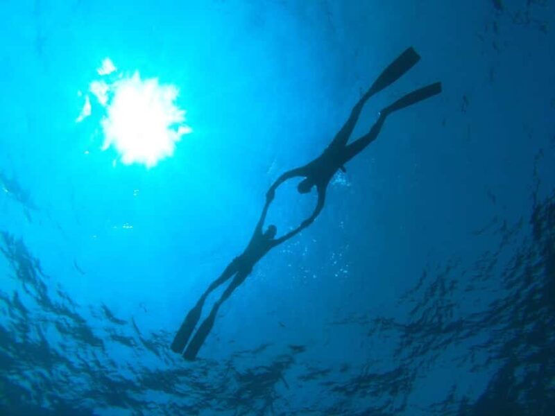 Lanzarote: Discovery Freediving Course in one day - Why Choose the Lanzarote Discovery Freediving Course?