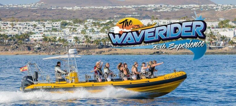 lanzarote-dolphin-watching-by-speedboat