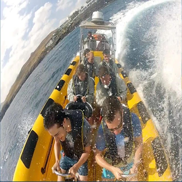 lanzarote-dolphin-watching-by-speedboat