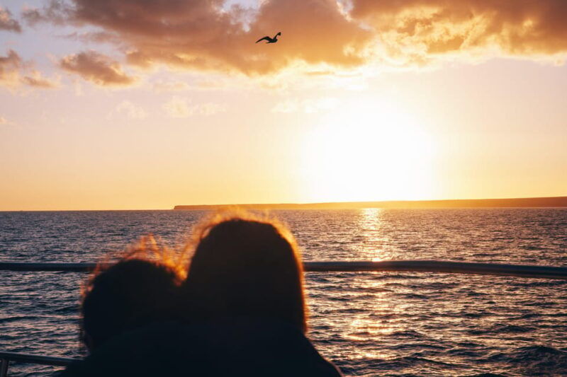 lanzarote-dolphin-watching-sunset-cruise-with-transfers