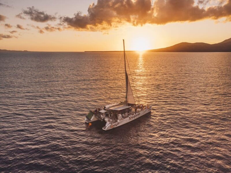 lanzarote-dolphin-watching-sunset-cruise-with-transfers