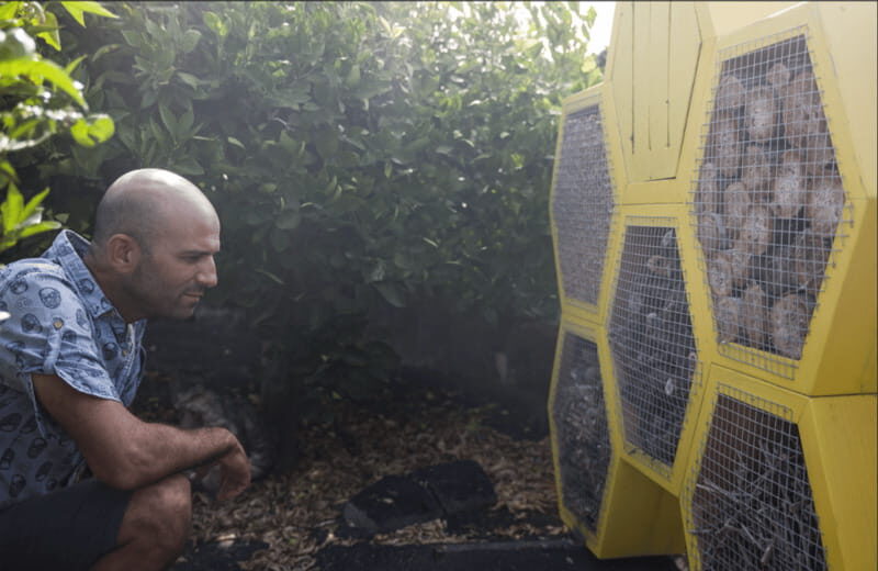 Lanzarote: El Grifo Wine Cellar Tour with Tasting - What Reviewers Say
