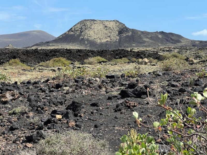 Lanzarote: Guided Hike discover volcano history and culture - Exploring Lanzarote’s Volcanic Wonders: A Guided Hike That Delivers More Than Just Views