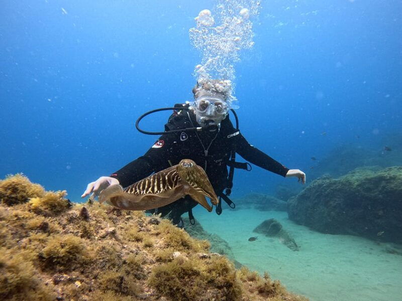 lanzarote-intro-to-diving-experience-for-beginners