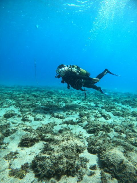 lanzarote-intro-to-diving-experience-for-beginners