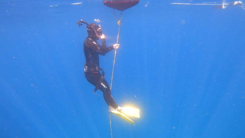 Lanzarote: Intro to Freediving Experience - Practical Details and What to Expect