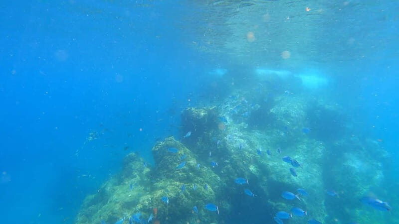 Lanzarote: Intro to Freediving Experience - The Value of This Experience