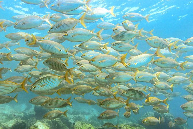 lanzarote-introductory-scuba-diving-experience
