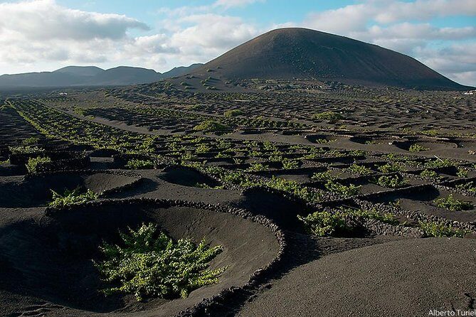 Lanzarote Island Tour (Full-day) - What to Expect on the Day