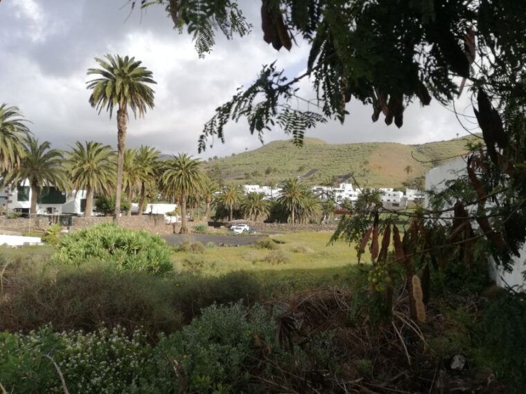 lanzarote-jameos-del-agua-north-island-for-cruise-guests