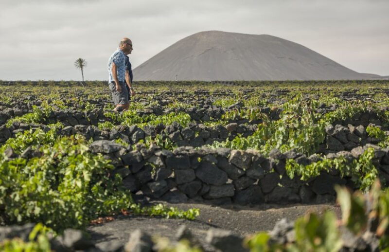 lanzarote-journey-to-the-world-of-el-grifo