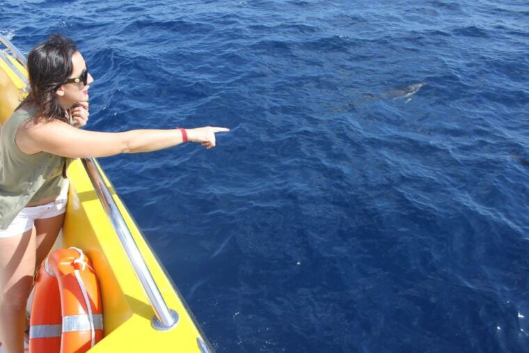 lanzarote-lobos-island-half-day-dolphin-watching-trip