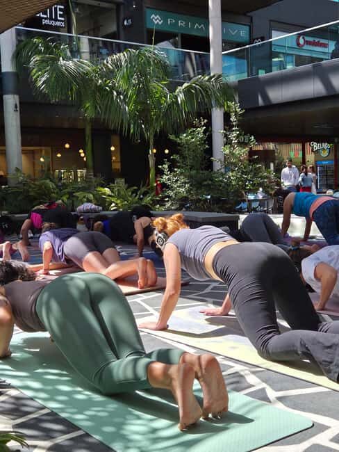 Lanzarote: Outdoor Yoga Class with Headphones - Detailed Breakdown of the Experience