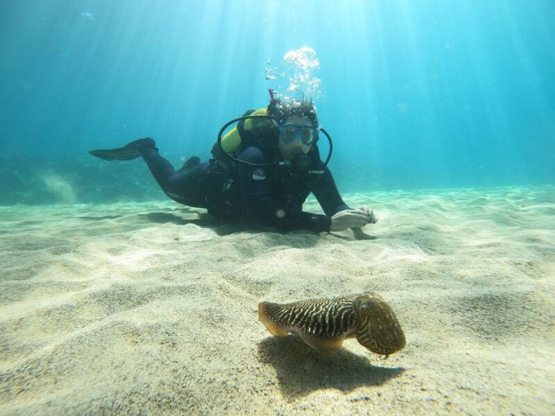 lanzarote-scuba-diving-for-beginners-1-dive