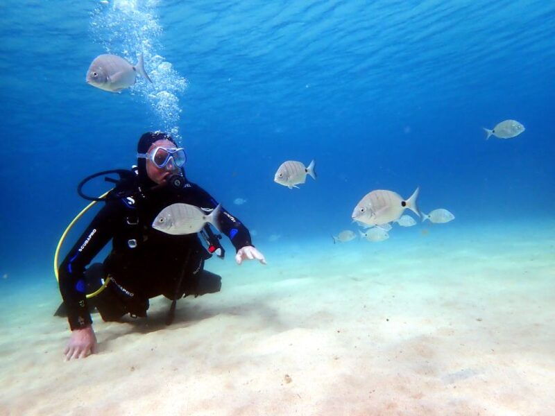 lanzarote-small-group-beginner-dive-course-costa-teguise