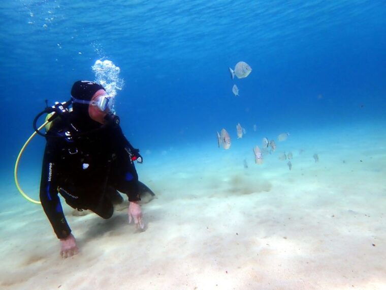 lanzarote-small-group-beginner-dive-course-costa-teguise