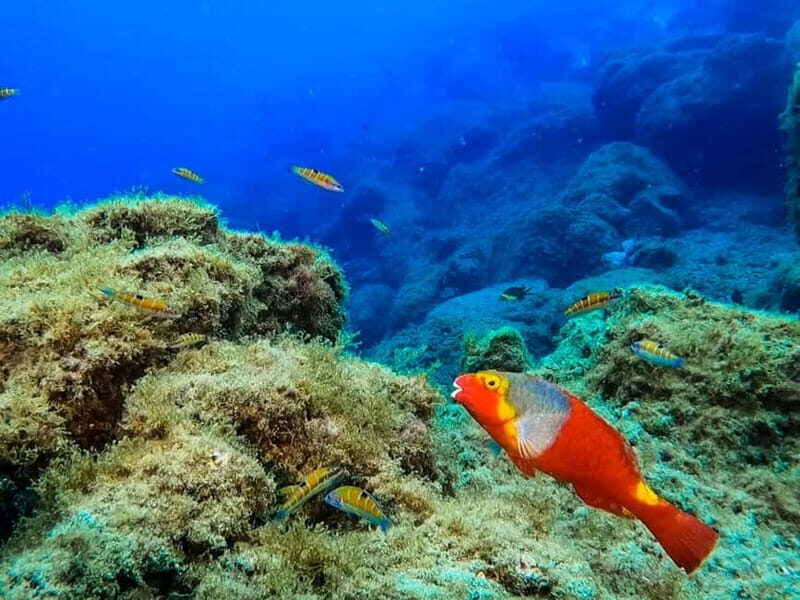Lanzarote: Small-Group Discover Scuba Diving Costa Teguise - Introduction to the Experience