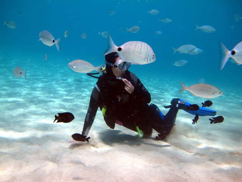 Lanzarote: Small-Group Discover Scuba Diving Costa Teguise - The Experience’s Suitability and Limitations