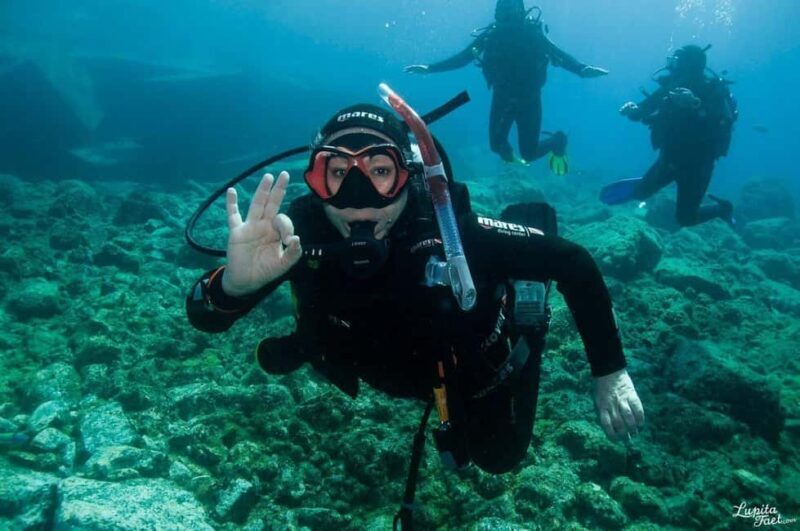 Lanzarote: Snorkeling Tour - What to Expect from the Lanzarote Snorkeling Tour
