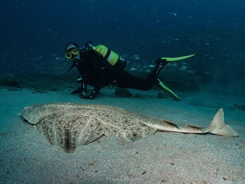 lanzarote-ssi-open-water-diver-course