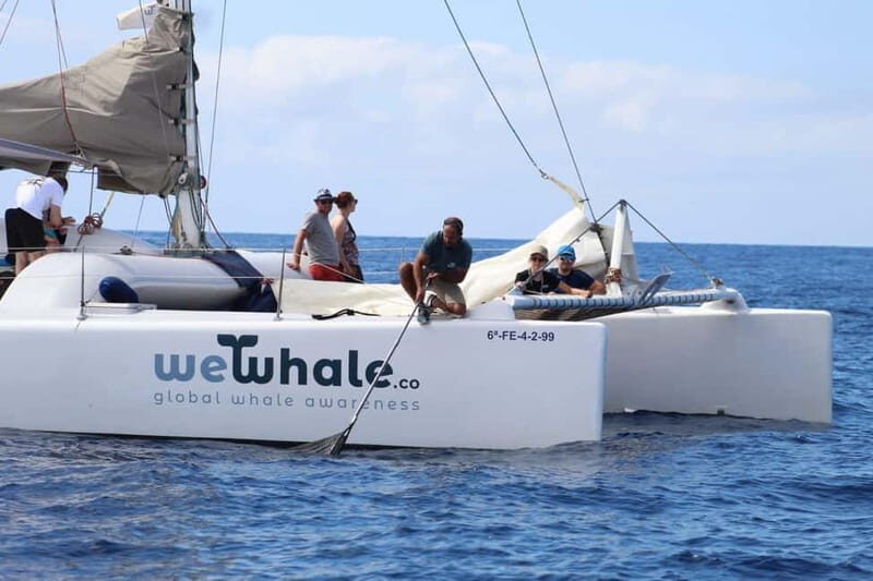 Lanzarote Sunset Experience with dolphin spotting - The Experience in Detail