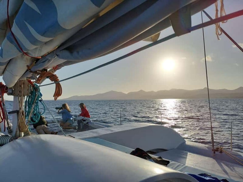 Lanzarote Sunset Experience with dolphin spotting - Final Thoughts