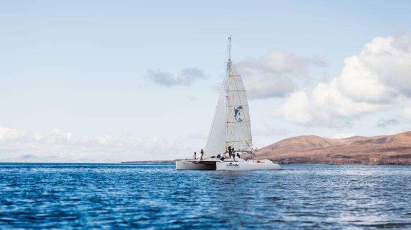 lanzarote-sunset-experience-with-dolphin-spotting