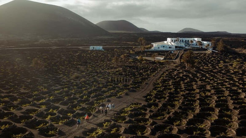Lanzarote: Sunset vineyard tour with wine and chocolate tasting - An Authentic Sunset Experience in Lanzarote