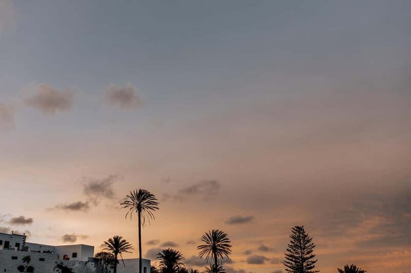 Lanzarote: Sunset vineyard tour with wine and chocolate tasting - Final Thoughts