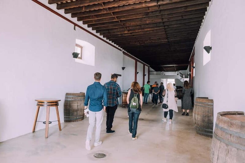 Lanzarote: Sunset vineyard tour with wine and chocolate tasting - FAQ