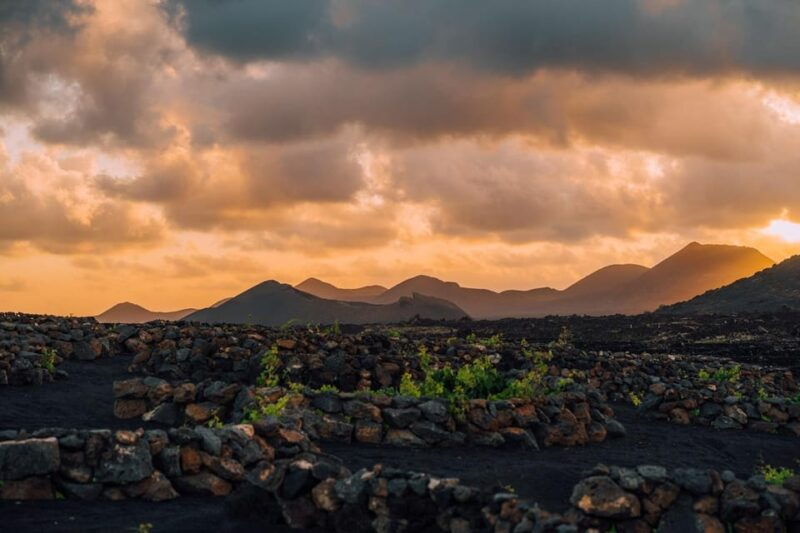 lanzarote-sunset-vineyard-tour-with-wine-and-chocolate-tasting