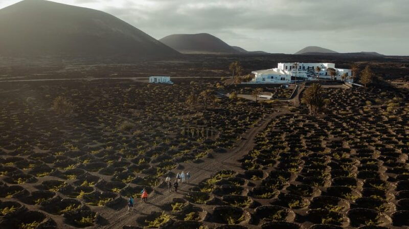 lanzarote-sunset-vineyard-tour-with-wine-and-chocolate-tasting