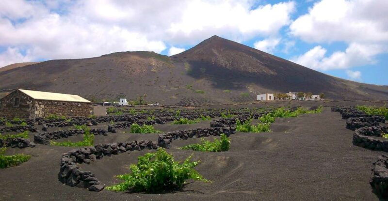 lanzarote-the-geria-vineyards-hiking-tour