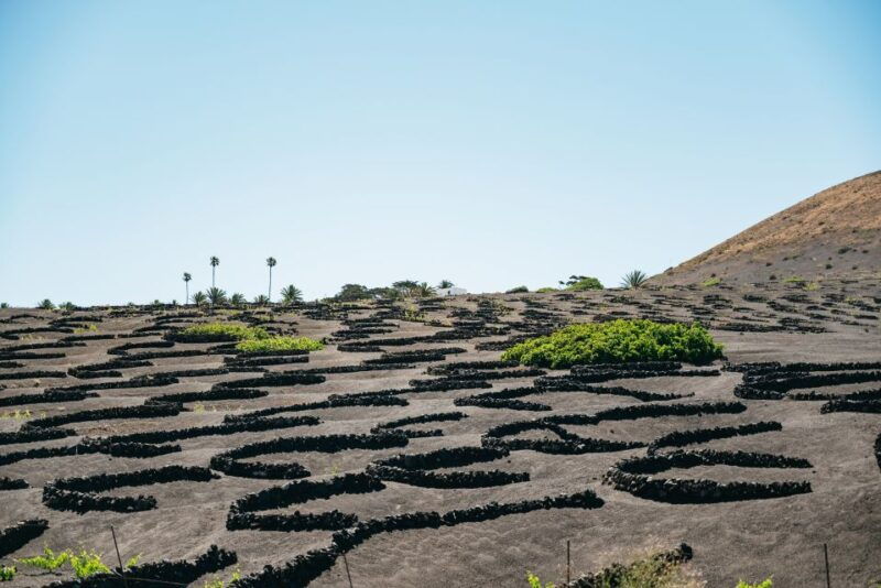 lanzarote-timanfaya-national-park-la-geria-tour