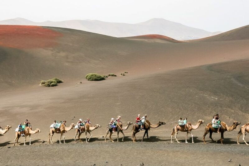 lanzarote-timanfaya-national-park-volcanic-craters-tour