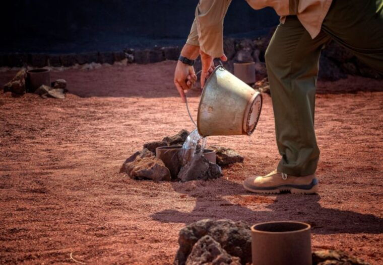 lanzarote-timanfaya-national-park-volcanic-craters-tour