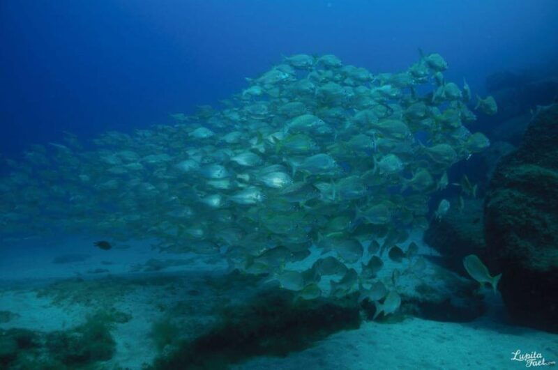 lanzarote-try-scuba-diving-experience