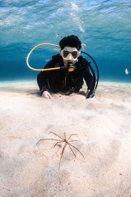 lanzarote-try-scuba-diving-for-beginners-2-dives