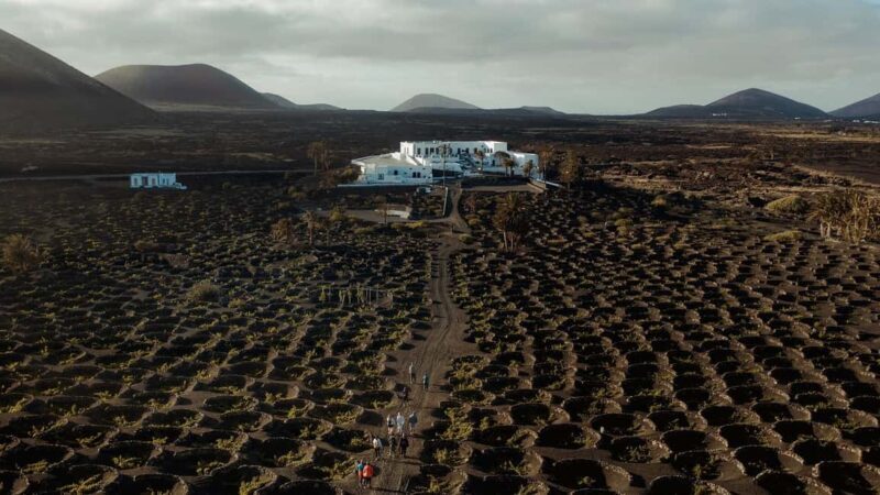 Lanzarote: Vineyard Tour & Wine Tasting with Cheese - Lanzarote: Vineyard Tour & Wine Tasting with Cheese – A Practical, Authentic Experience