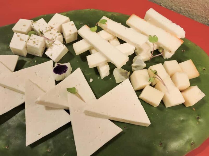Lanzarote: Vineyard Tour & Wine Tasting with Cheese - Final Thoughts: Who Will Love This Tour?